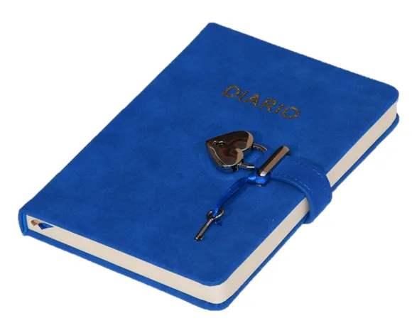 DIARIO NAPA LUJO AZUL