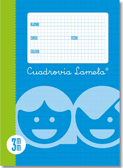 RECAMBIO LAMELA FOLIO 100H 3MM