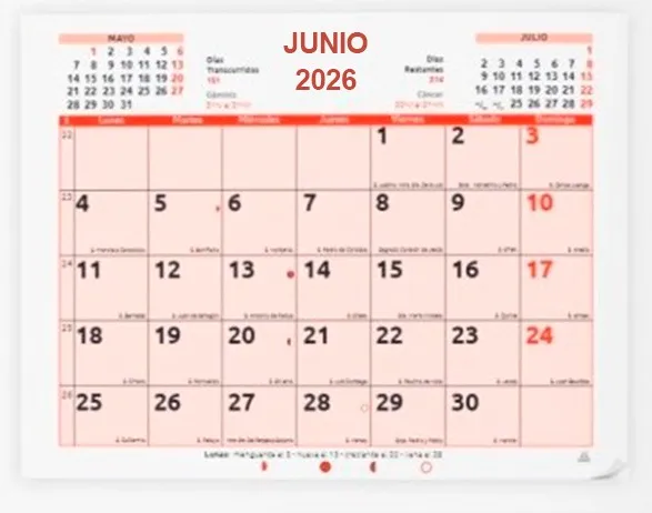 Faldilla Gsf 30X24.7 Cm 2026