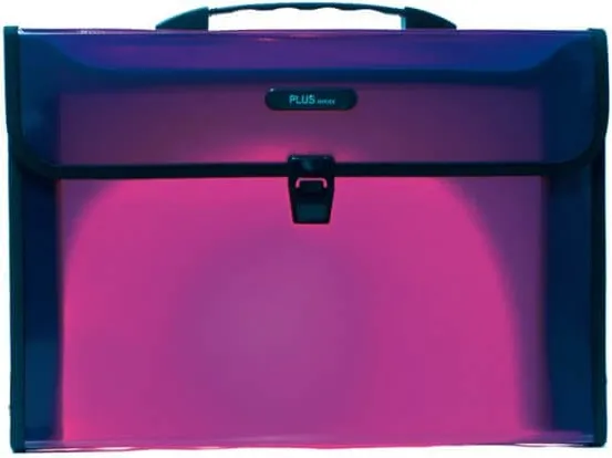 MALETIN ASA BROCHE PLUS VIOLETA