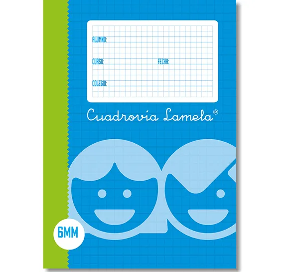 RECAMBIO LAMELA CUARTO 100H 6MM