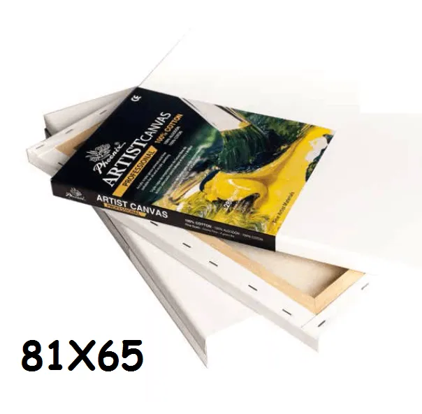 LIENZO PHOENIX PROFESSIONAL 25-F 81X65