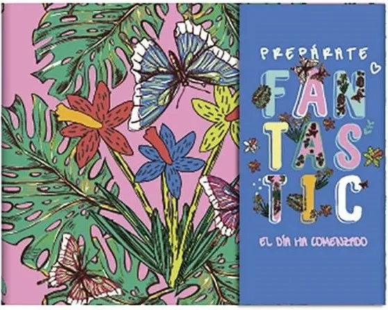 SET ORGANIZADOR SEMANAL FANTASTIC