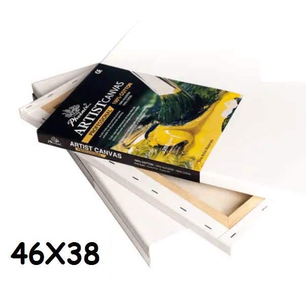 LIENZO PHOENIX PROFESSIONAL 8-F 46X38