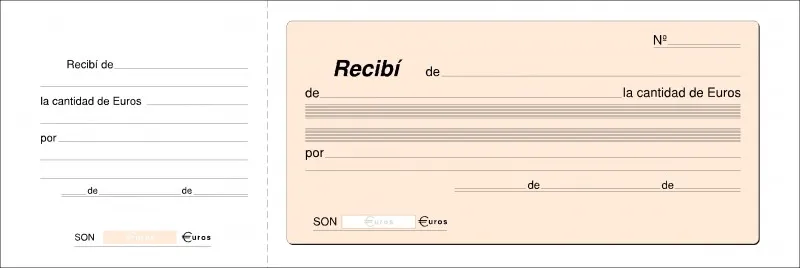 TALONARIO RECIBO T-55