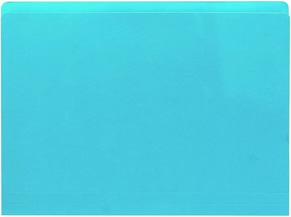 SUBCARPETA PLUS A4 200G AZUL P /25