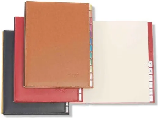 CLASIFICADOR PARDO AUTOGRAPH NEGRO