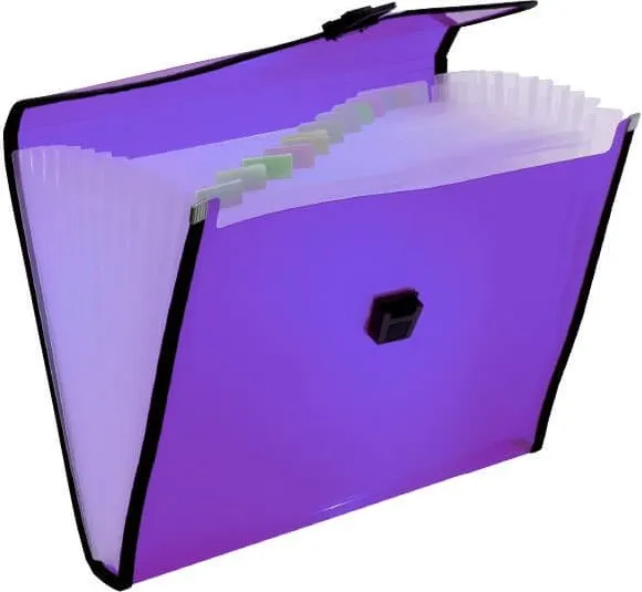 CLASIFICADOR PLUS PP A4 BROCHE VIOLETA