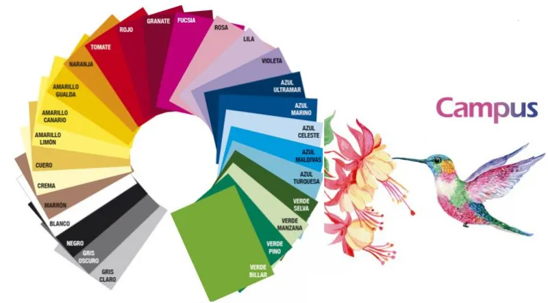 CARTULINA CAMPUS 50X65 COLORES 25HOJAS